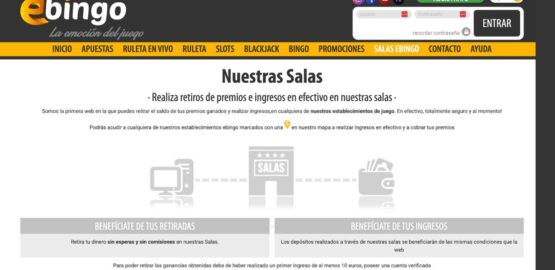 vista de bingo online en ebingo